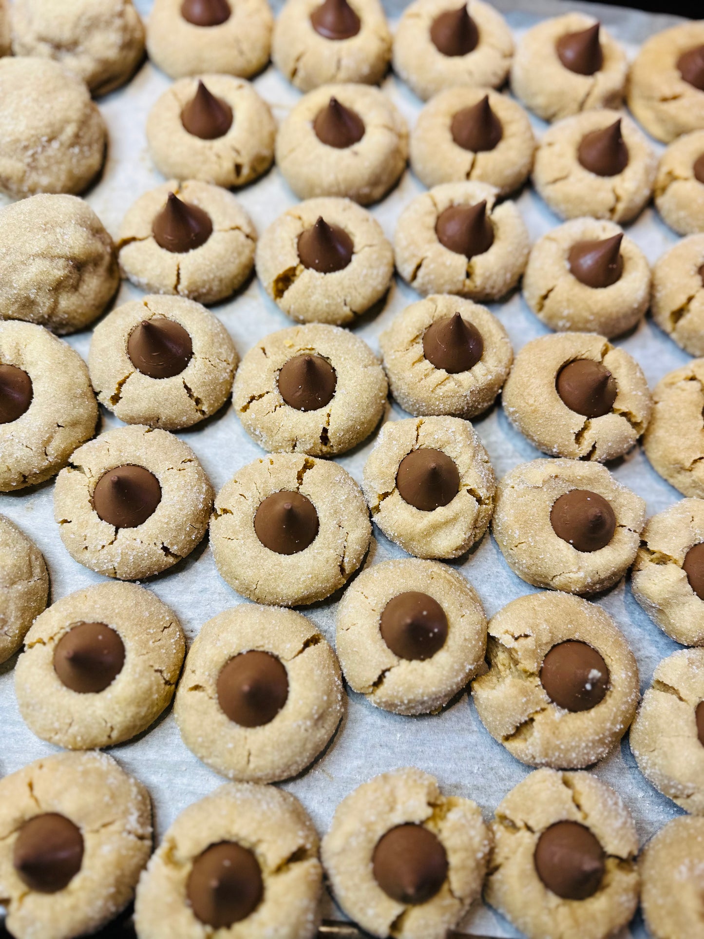 Peanutbutter Blossoms